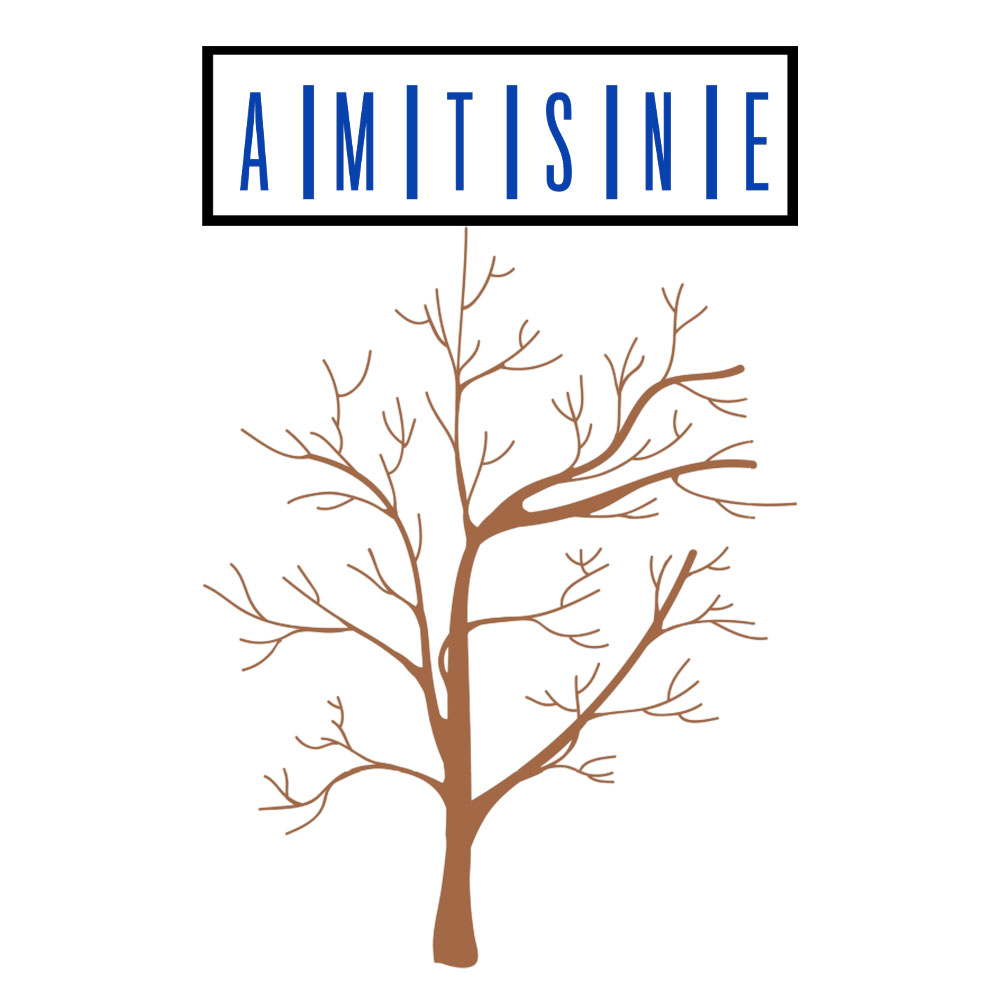 Amstne Amtsne